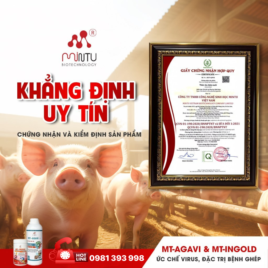 Ổn định tiêu hóa, giảm nguy cơ mầm bệnh và hạn chế nhu cầu kháng sinh cho trang trại.
